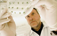 man with petri dish